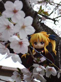 20100404164841.jpg