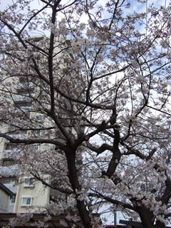 201004041648412.jpg
