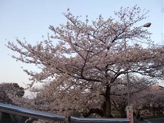 201004041648413.jpg