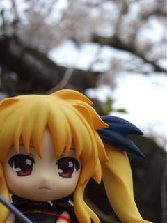 201004041648416.jpg